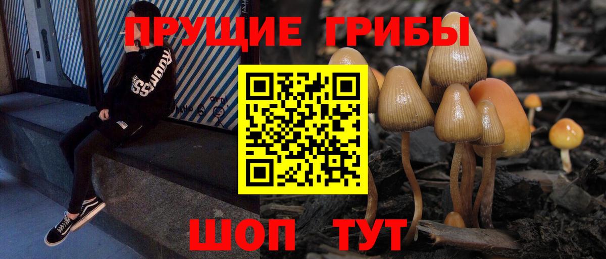 Псилоцибиновые грибы MAGIC MUSHROOMS  Галлюциногенные грибы мухоморы  Зима  Вход с VPN 