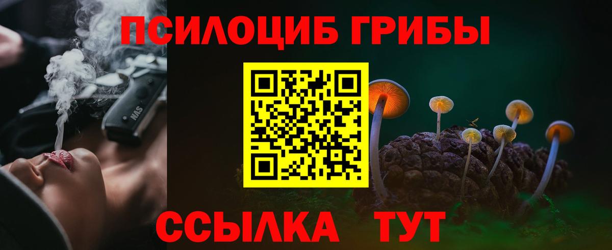 Галлюциногенные грибы мухоморы Зима